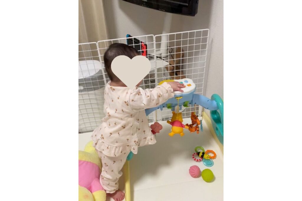 プーメリー　つかまり立ち気の我が子の様子